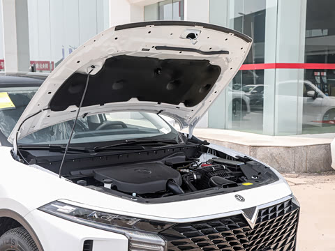 2026�� 260T ������ Pro