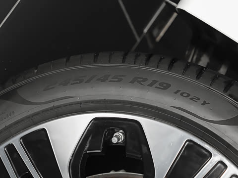 2024�� E 350 e L ���ʽ��϶����˶��γ�