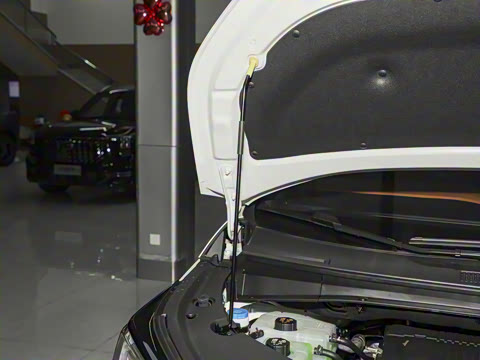 2026�� ��ʦ ������