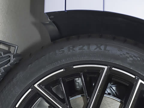 2026��   95������ Max��