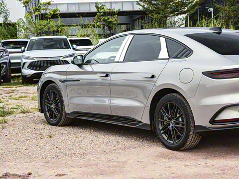 2025�� DM-i �Ǽݰ� 245KM�����