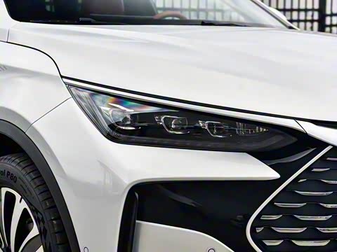 2025�� �Ǽݰ� DM-i 175KM ������