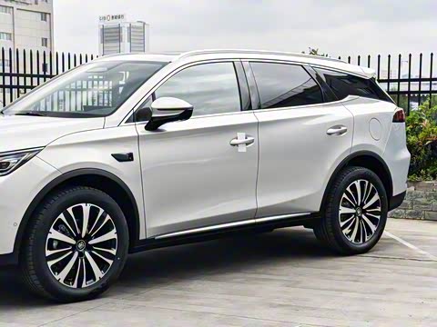 2025�� �Ǽݰ� DM-i 175KM ������