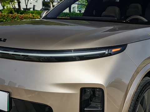 2026�� Livis