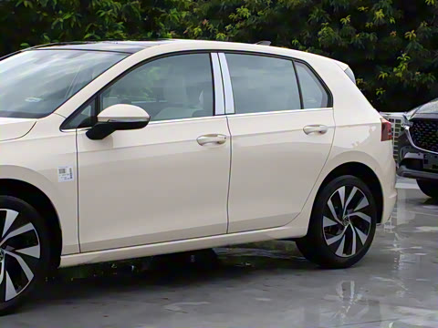 2025�� �Ŀ� 300TSI Pro