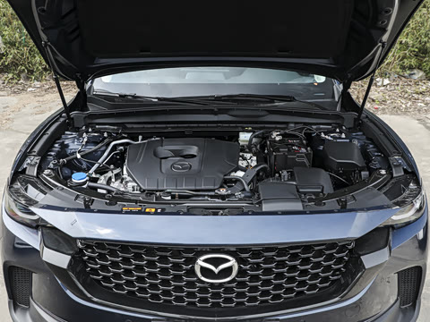 2026�� 2.5L ���а�