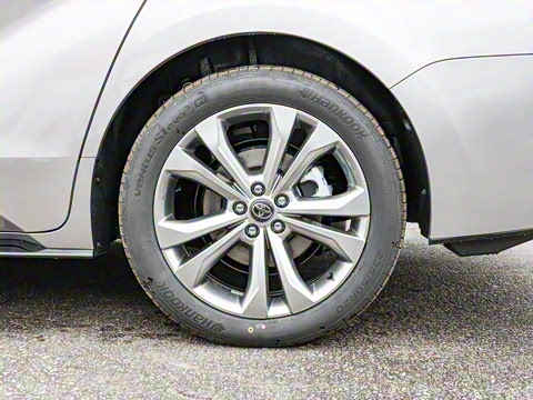 2026�� 2.5L ˫��������������