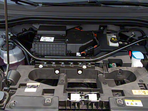 2026�� ������PURE