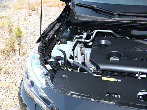 2026�� 1.6L CVT�ڽ��