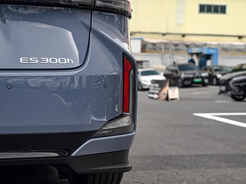 2026�� 300h