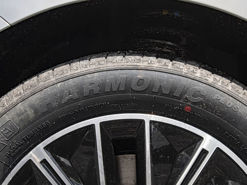 2026�� 520�Ǻ���