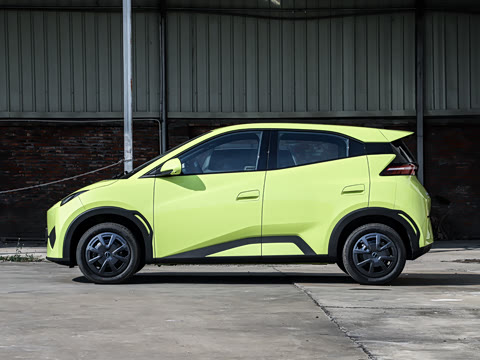 2026�� 305km ������