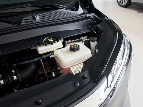 2026�� ������