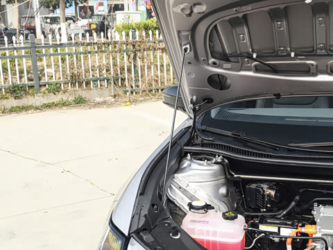 2026�� ������ JOY