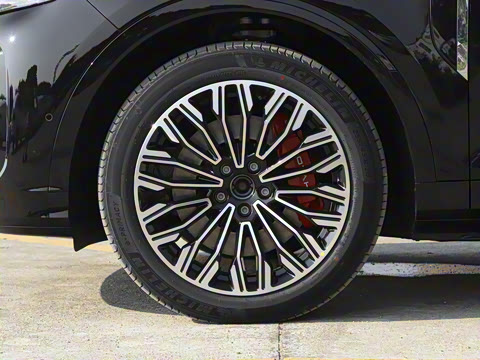 2025�� FREE+ ����Ǭ����