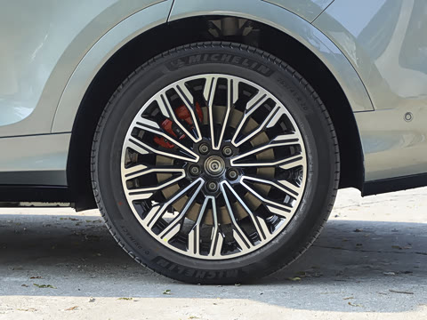 2025�� FREE+ ����Ǭ����