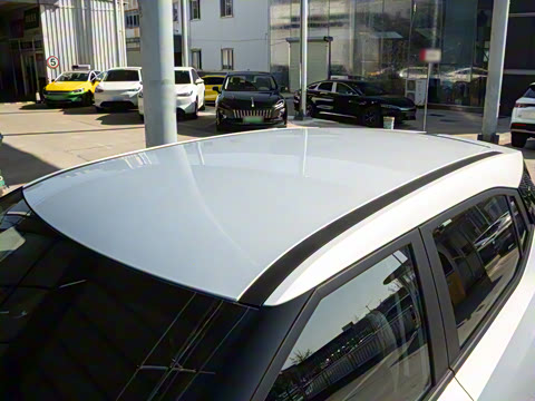 2026�� Ӱ�� 270T ��ȡ��