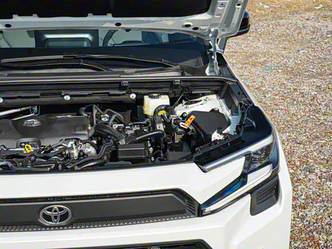 2026�� ˫�� 2.5L ����������