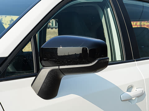 2026�� ˫�� 2.5L ����������