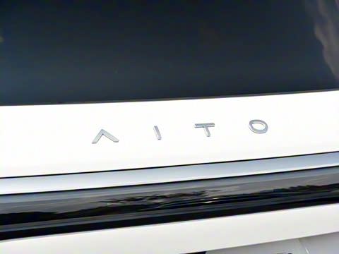 2025�� ���� Max+ ������������ 