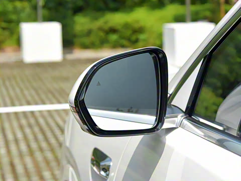 2025�� ���� Max+ ������������ 