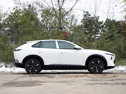 2026�� ����600 Pro