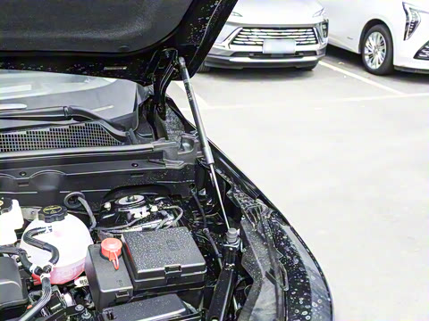 2026�� ������Plus ����Avenir��ά��