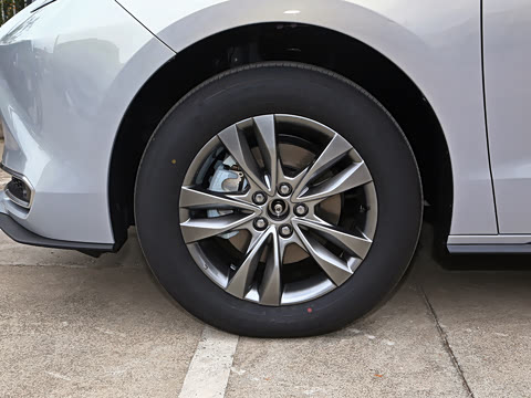 2026�� 2.5L ˫������������