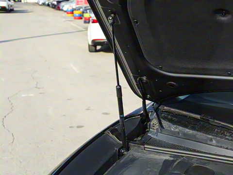 2026�� ����Max