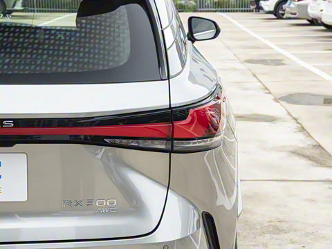 2026�� 300 ����������