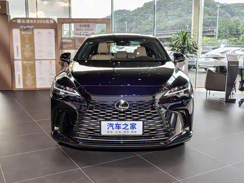 2026�� 300 ����������