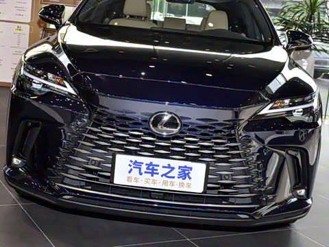 2026�� 300 ����������