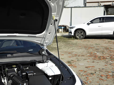 2025�� ������ 1.5T 500Bar�����