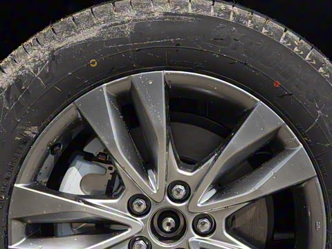 2026�� 2.5L ˫���������ʰ�