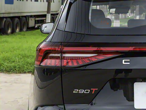 2025�� 290T ��������+