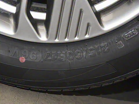 2025�� 565km ������