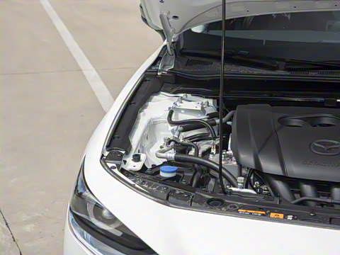 2025�� 2.0L �Զ������