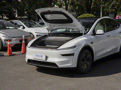 2026�� ����������������