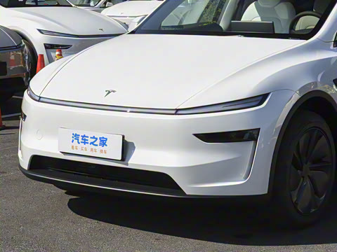 2026�� ����������������