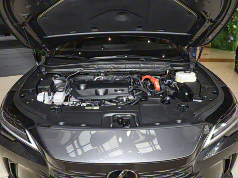 2026�� 350h ����������