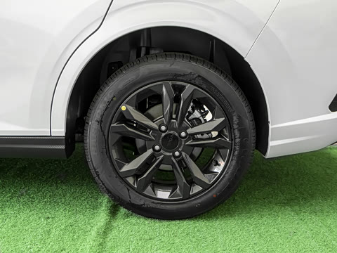 2025�� 1.5L ׿Խ��