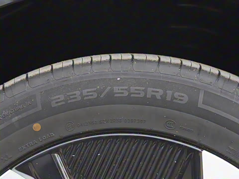 2025�� ����600 Pro