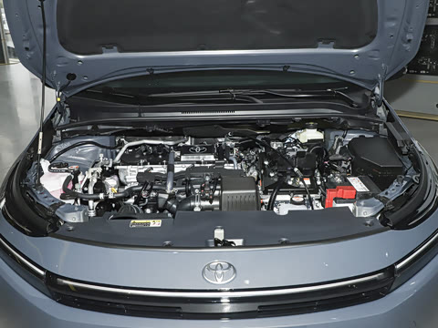 2026�� 1.8L ˫�� �ȷ��