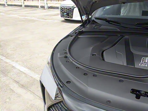 2025�� �Ǽݰ� DM-i 175KM �����