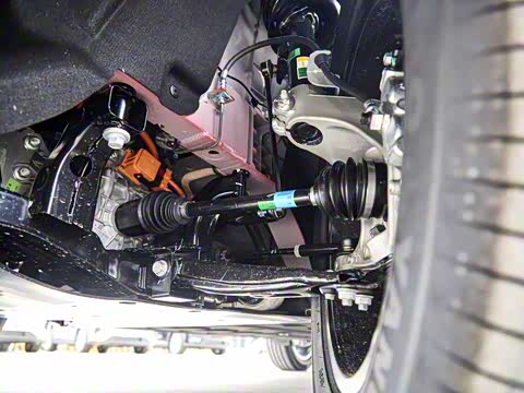 2025�� 501���������