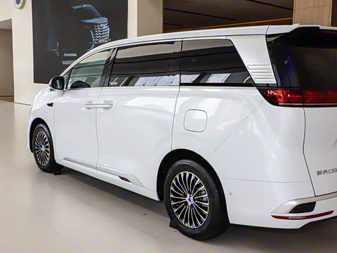 2025�� DM-i ��������