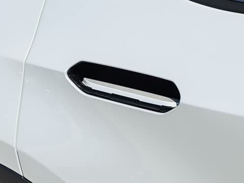 2026�� ������ JOY