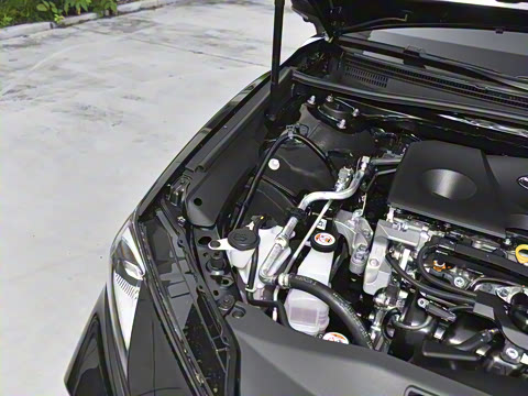 2026��  ˫�� 2.0HG ����