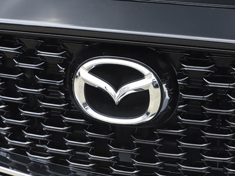 2025�� 2.0L �Զ�����������