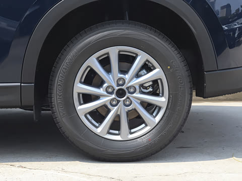 2025�� 2.0L �Զ���������Pro